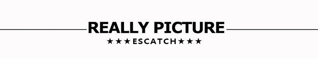 Escatch Quick Dry Summer Mens Siwmwear Beach Board Shorts Briefs For Man Swim Trunks Male Sportswear Beachwear Fitness Plus Size Don't Taxe That