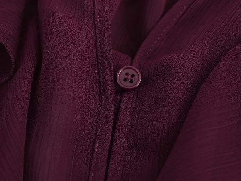 TRAF Ruffle Womens Blouses Semi Sheer Casual Blouses Woman Spring Fairy Shirts and Blouses for Lady Long Sleeve Tops Woman 2025 Don't Taxe That